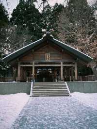 北海道札幌的冬日神社｜北海道神宮 ❄️⛩️
