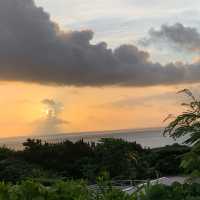 「自然の宝庫、西表島の魅力を探る」✨