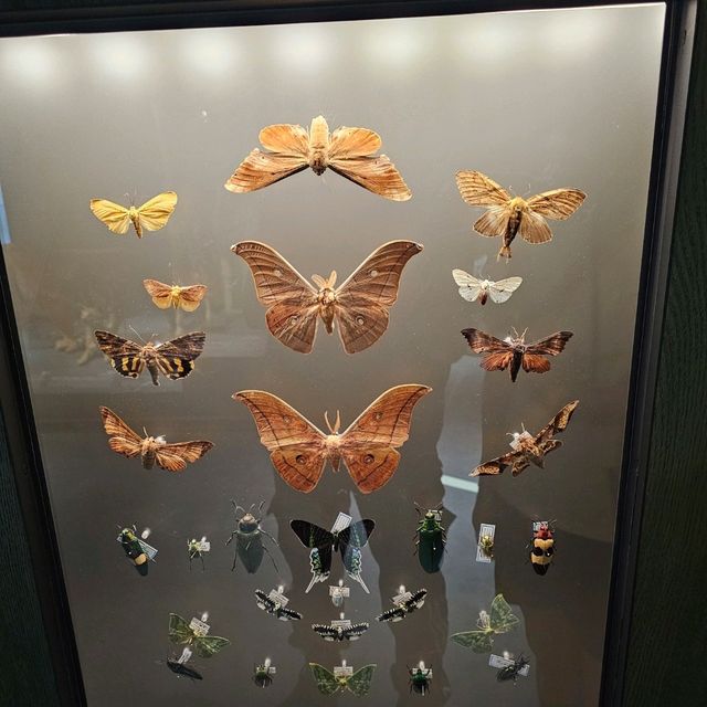 【台北】定期推出不同主題的科學特展，每次展覽都極具教育與娛樂性。