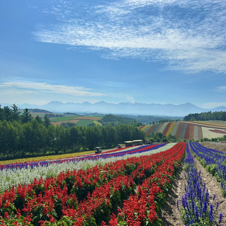 [北海道] 巡遊拍照勝地