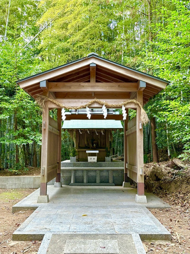 【和歌山県】急勾配の坂と竹林の先にある神社