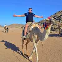 Desert Thrills and Tranquility: Quad Bikes and Camels in Sharm El Sheikh
