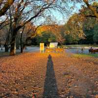 Hikarigaoka Park (光が丘公園)