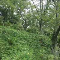 Funaoka Castle Park (船岡城址公園)