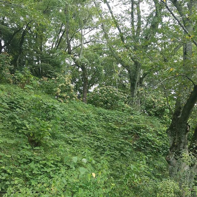 Funaoka Castle Park (船岡城址公園)