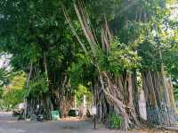 泰國曼谷湄南河畔博物館寺廟綠洲公園一日遊行程，適合親子遊打卡拍照📸