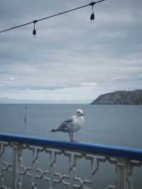 Springtime Stroll at Llandudno Pier: A Seaside Delight