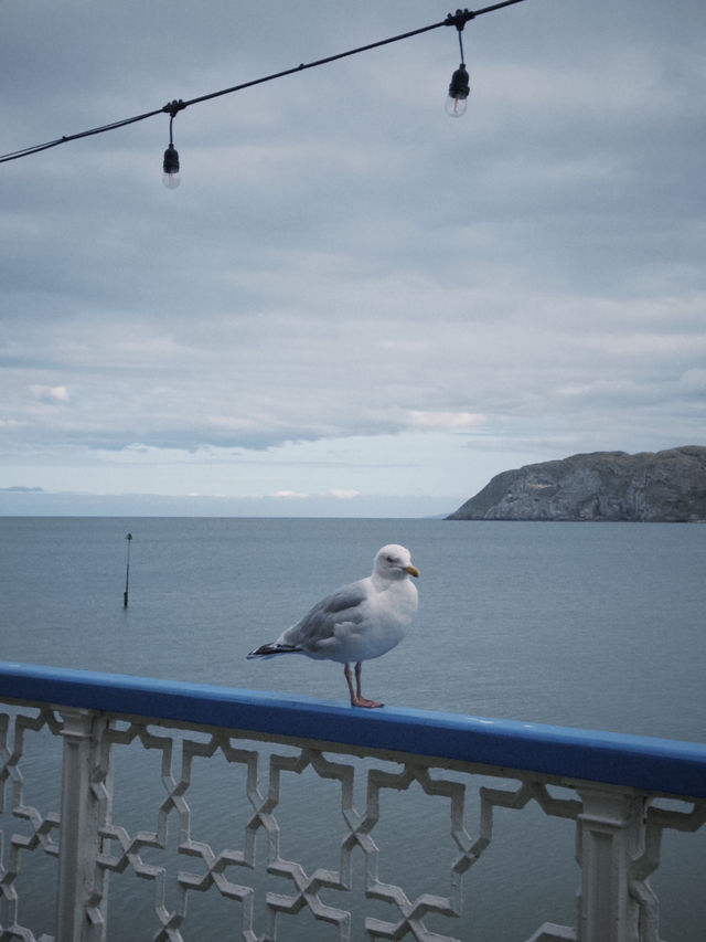 Springtime Stroll at Llandudno Pier: A Seaside Delight