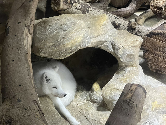 香港海洋公園之旅