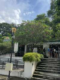 Tiong Bahru Bakery 🍞ร้านขนมปังพรีเมียมที่ต้องลอง