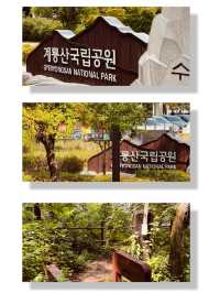 Bingyesan: A Spring Picnic with Scenic Views 