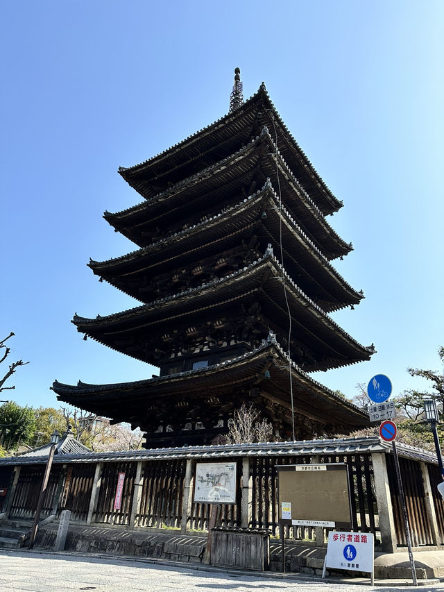 【京都×春旅】  八坂の塔と桜が撮れるスポットは大人気！