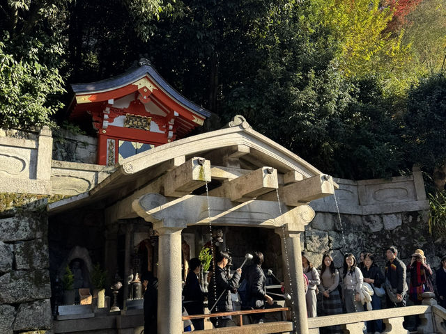 Kiyomizu-dera จุดชมใบไม้เปลี่ยนสีโด่งดังในญี่ปุ่น