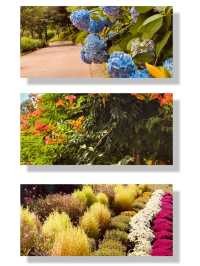 Spring's Scenic Hillside Views 