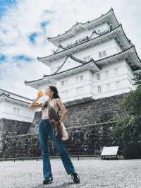 小田原旅プラン｜完全攻略