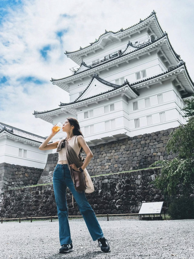 小田原旅プラン｜完全攻略