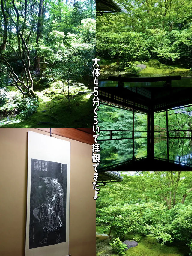 【📍京都】久々の家族国内旅行！京都を女子3人で回り尽くしたスケジュール公開👍