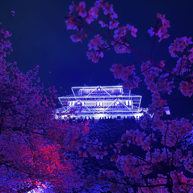 福岡 舞鶴公園春之天守閣夜櫻