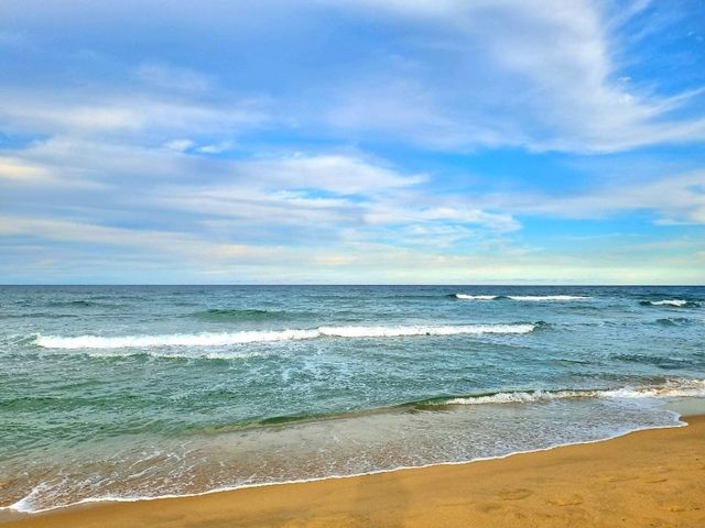 서울에서 가장 가까운 동해바다!🏖