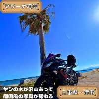 マリーナ河芸
