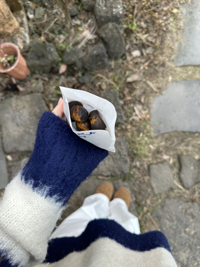 🍊제주 동쪽 감성카페 5l2f