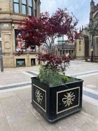Cathedral Gardens