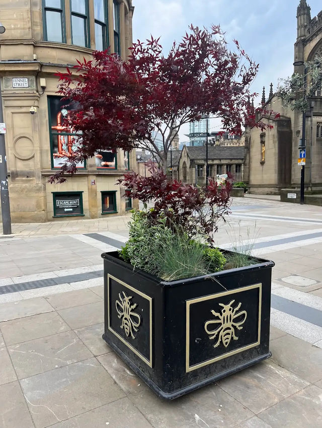 Cathedral Gardens