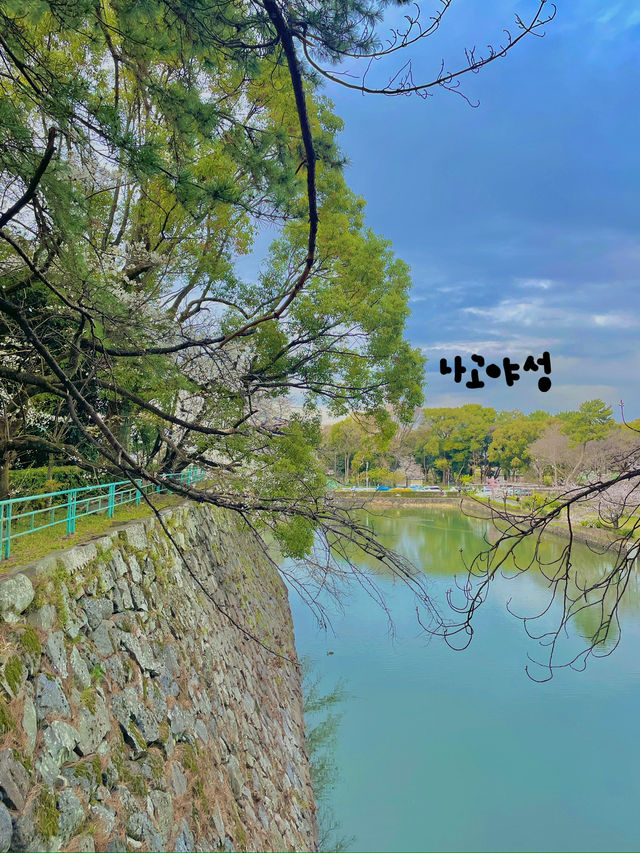 🏯 나고야성 – 나고야의 대표적인 관광지
