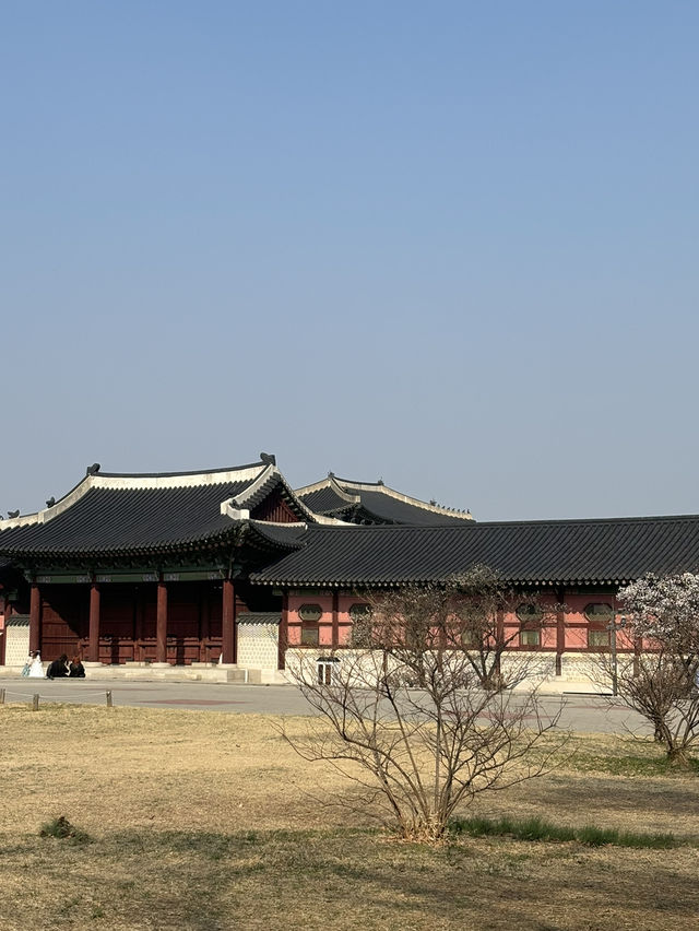 경복궁 나들이 가보자