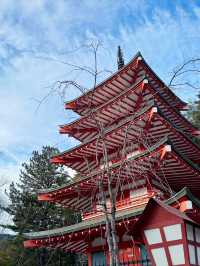 東京｜一日遊行程 ｜下吉田車站🏞️⛩️