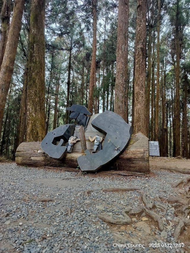 ไปดูดอกแมกโนเลียที่ Alishan 