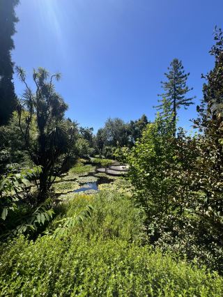 Lush Greenery & Tranquil Leisure — A Visit to the Royal Tasmanian Botanical Gardens