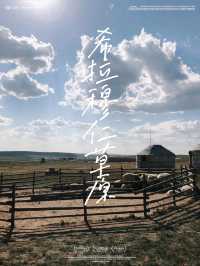 人生必須要到的希拉穆仁草原