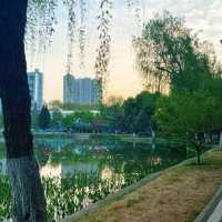 曉港公園~城市中的綠化地帶
