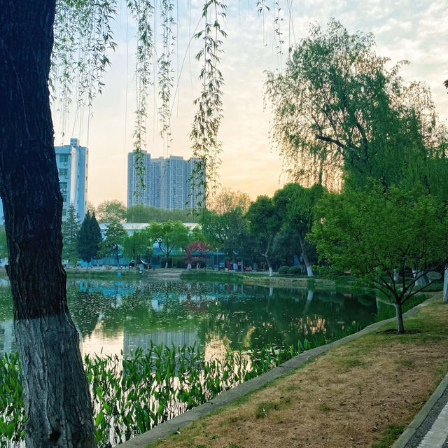 曉港公園~城市中的綠化地帶