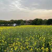*Tiger Hill Wetland Park– Suzhou’s Urban Ecological Oasis