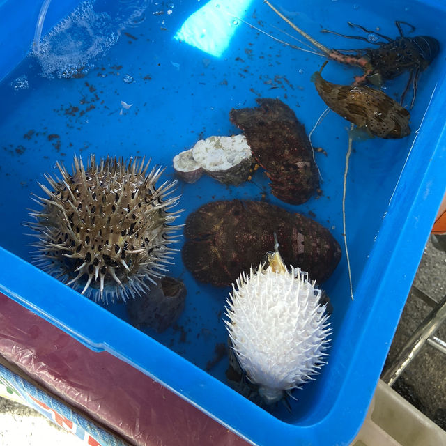 大溪漁港半日遊｜逛市場、嚐鮮味、望龜山島