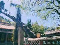 中國甘肅天水市著名景點：南郭寺，適合打卡拍照📸