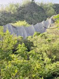 牛埔泥岩水土保持教學園區：從月世界到夢幻綠洲的奇幻旅程