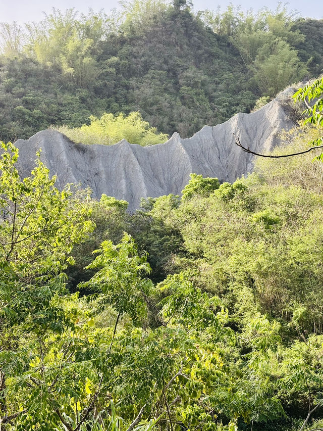 牛埔泥岩水土保持教學園區：從月世界到夢幻綠洲的奇幻旅程