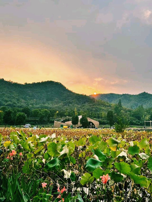 中國湖州安吉旅行攻略，適合打卡拍照📸