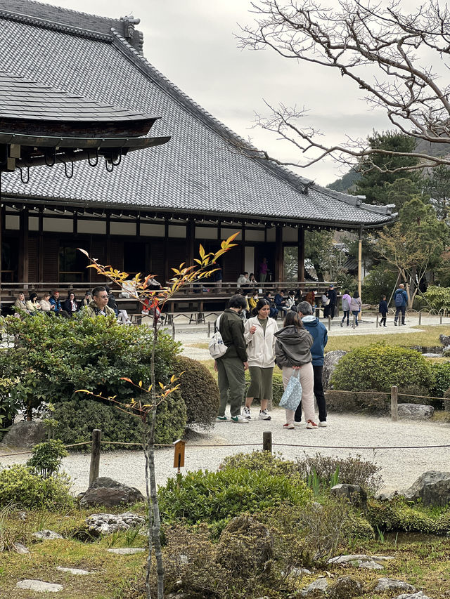 🍃 교토 텐류지(天龍寺), 마음까지 맑아지는 순간 🌸