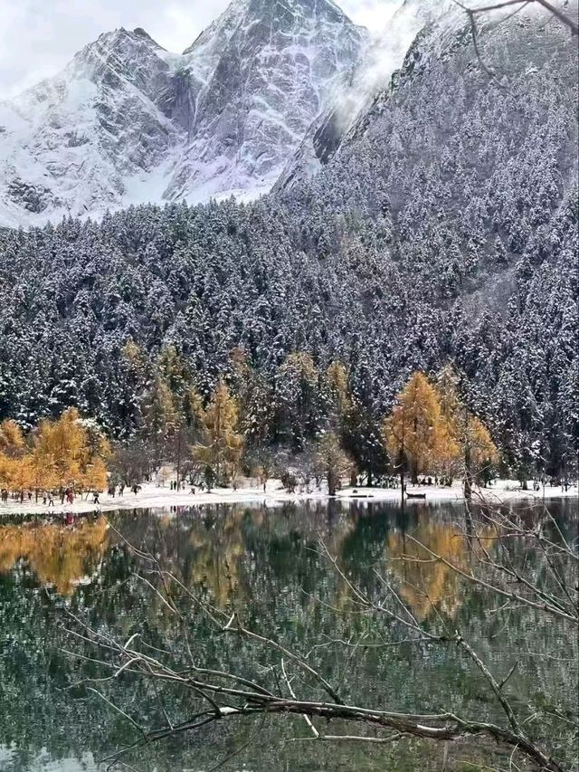 Bipenggou in Winter: A Silent Symphony of Snow and Stillness