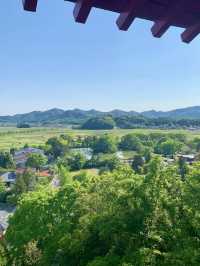 A Spring Drive to the Magical Izuruhara Benten Pond