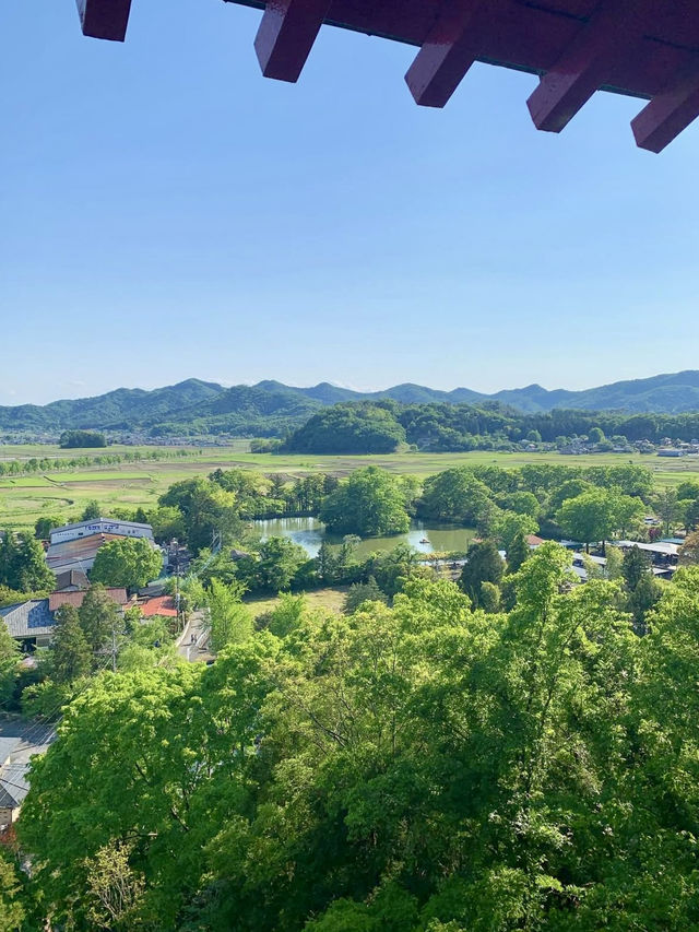 A Spring Drive to the Magical Izuruhara Benten Pond