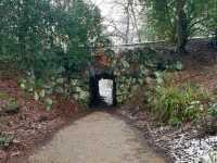 Manchester's Green Escape