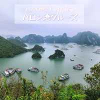 【ベトナム】ハノイから絶景ハロン湾🏞