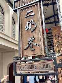 🏮 Ipoh’s Concubine Lane: Where History Meets Hipster Vibes 🎨