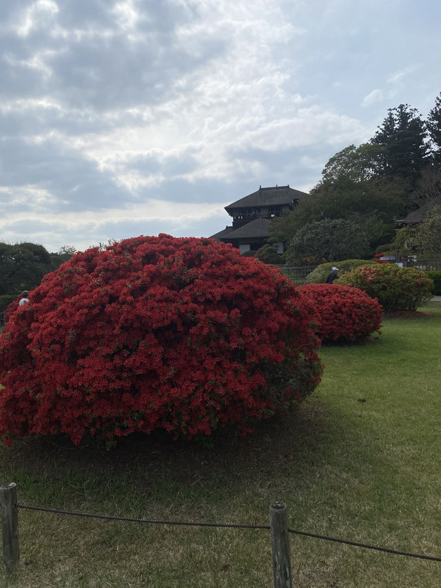 水戸市偕楽園