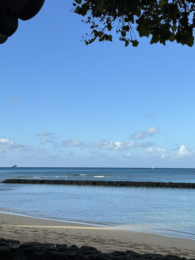 🏝️ 하와이 바다별 특징 및 비교, 나에게 맞는 해변 찾기! 
